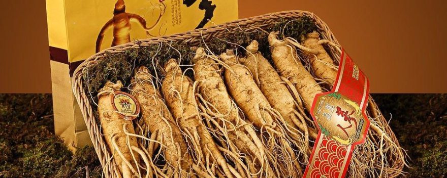 ginseng rouge bio