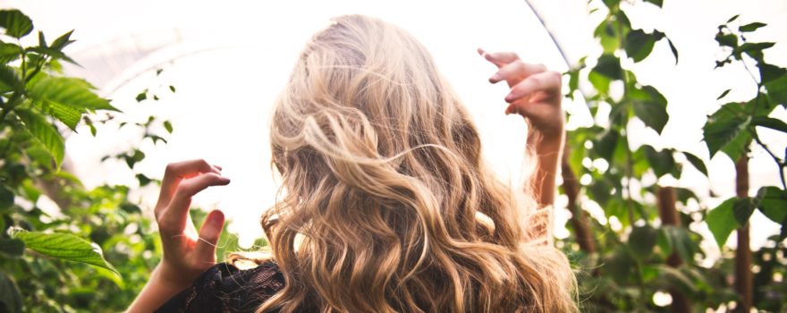 cure cheveux secs