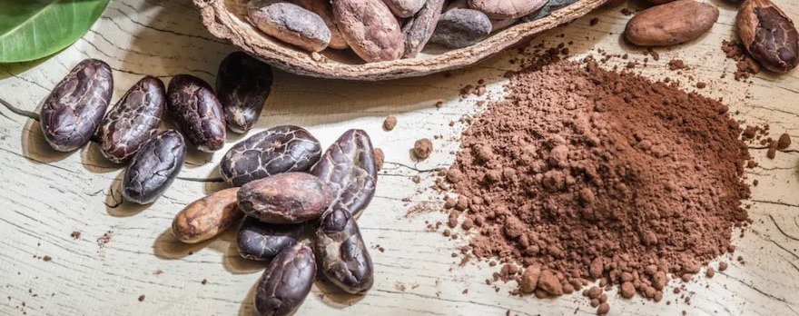 Konjac Gélules ou Poudre - Coupe Faim Naturel - Diminue l'appétit