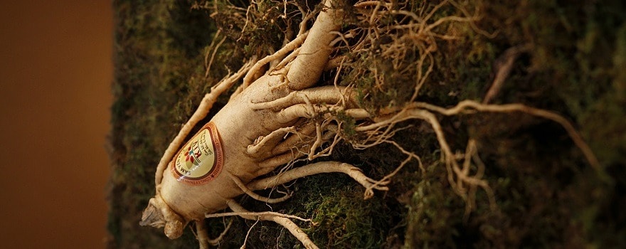 ginseng rouge