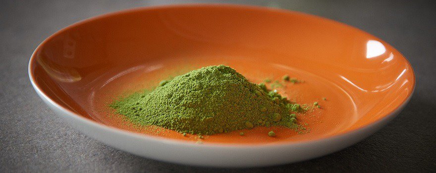 poudre moringa bio