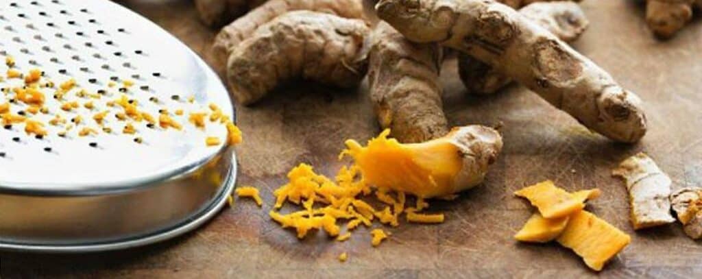 conservation curcuma