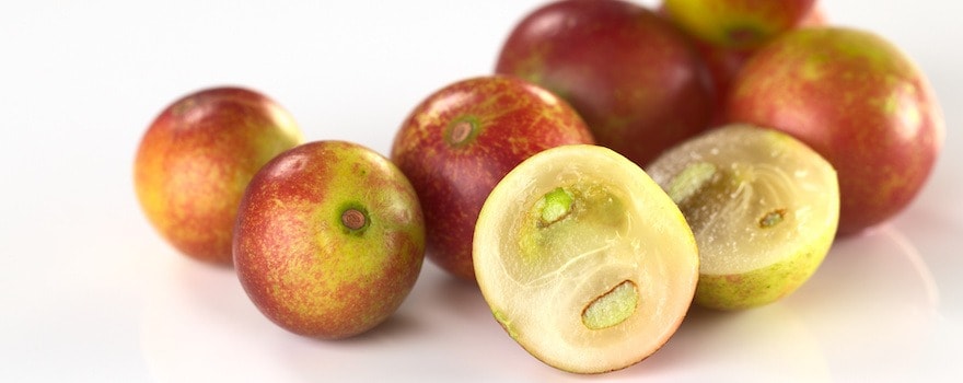 fruit antioxydant