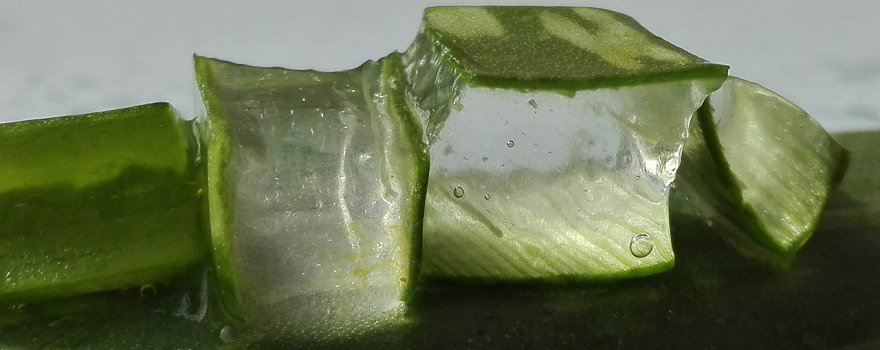 gel aloe vera