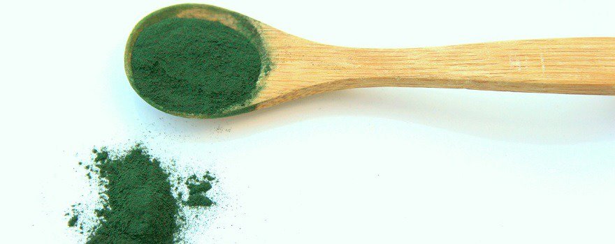 spiruline fer