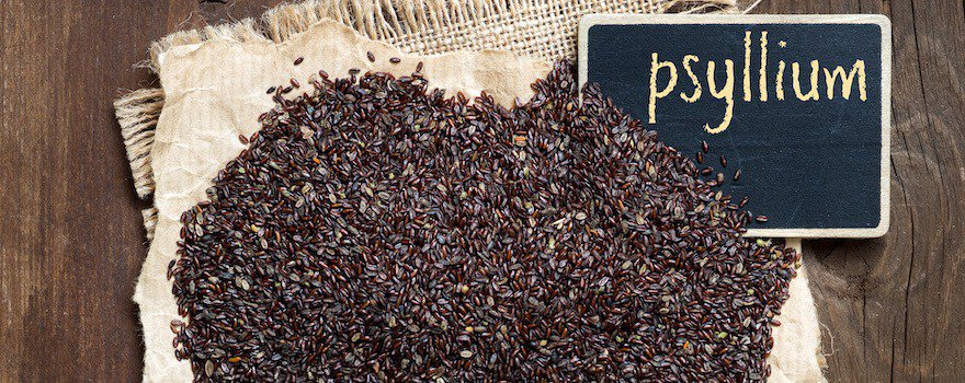 Psyllium noir constipation diarrhée régule intestin herboristerie