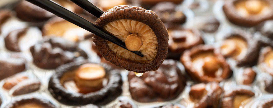 bienfaits shiitake