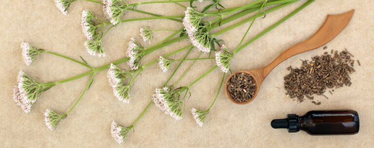 Teinture/extrait De Valériane Racine - Pour Stress Et Sommeil - Qualité Supérieure, Marque Pure Health Botanicals
