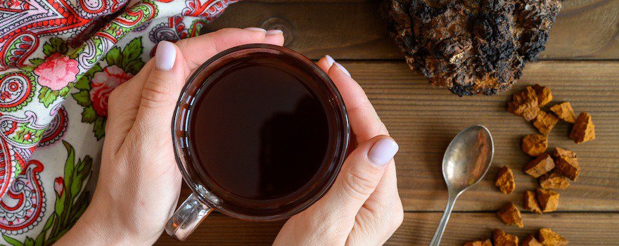 chaga