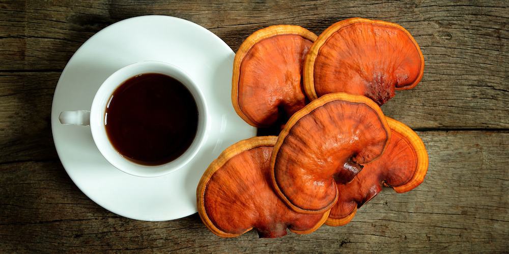 reishi