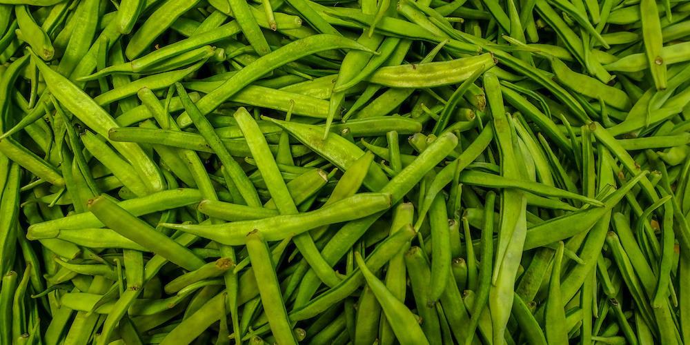 Gomme de guar, le coupe-faim naturel