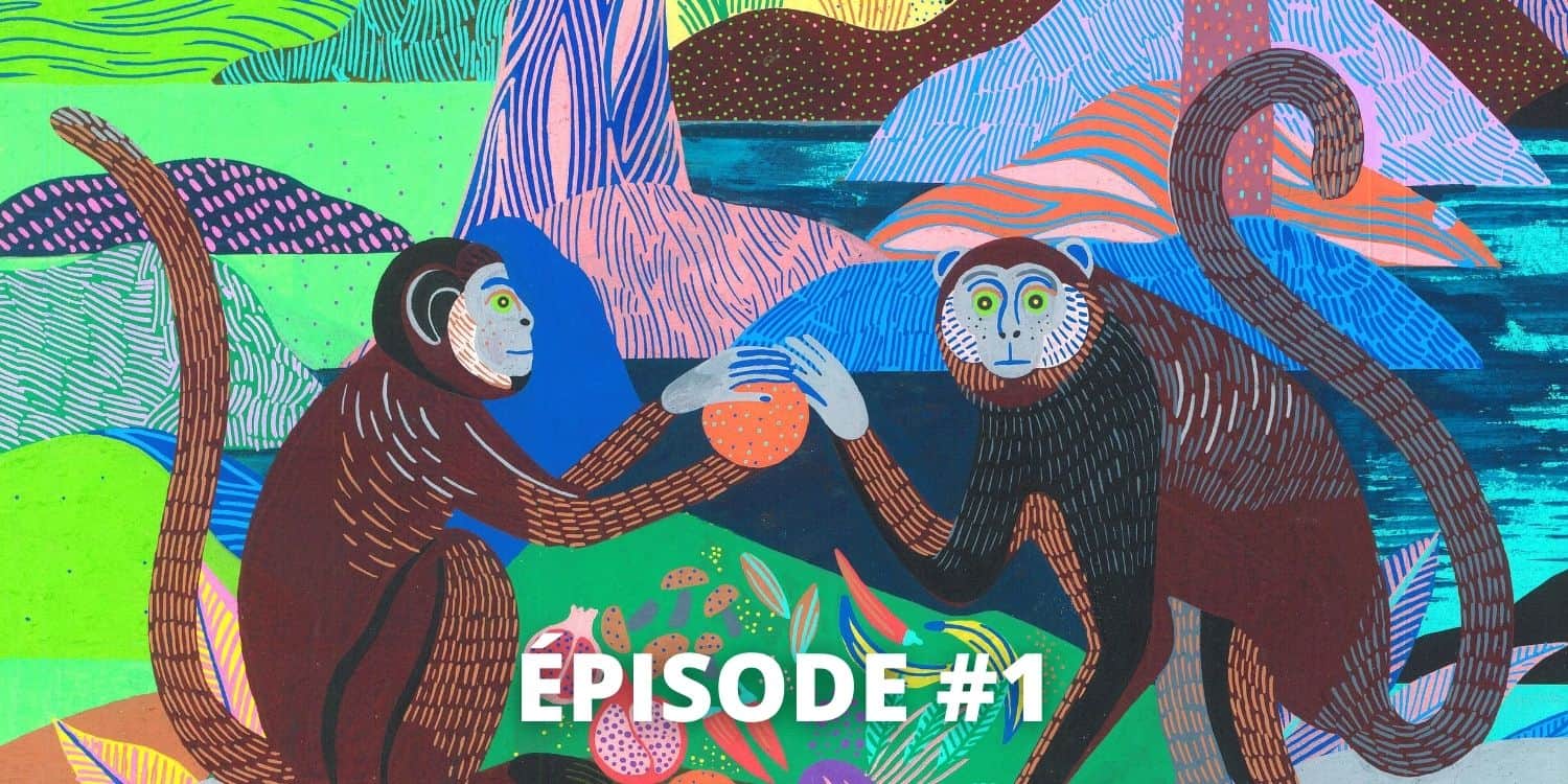 podcast alimentos fermentados