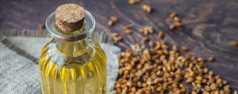Germe de blé, source naturelle de vitamine E : bienfaits, posologie