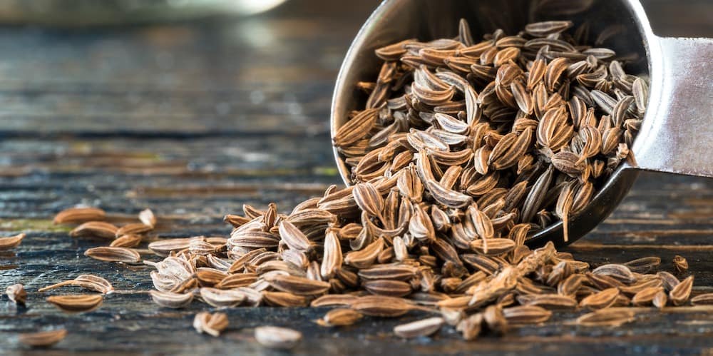 Graines de Cumin – Plante aromatique et médicinale facile à cultiver.