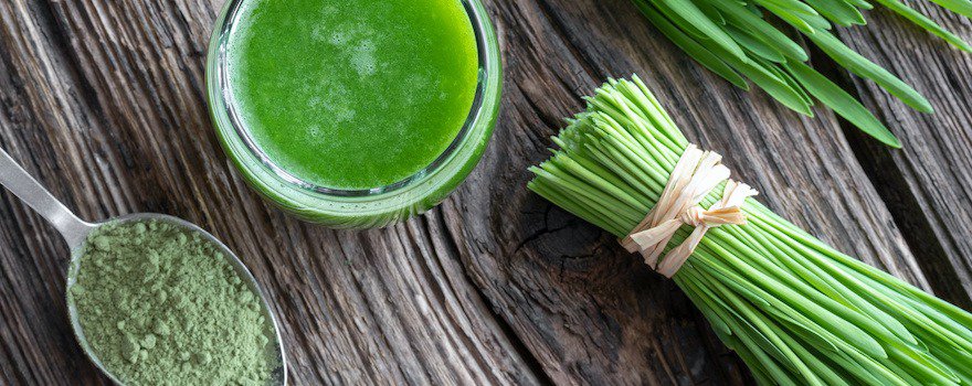 jus d'herbe d'orge