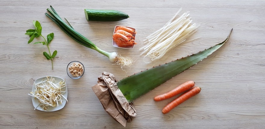 recette aloe vera