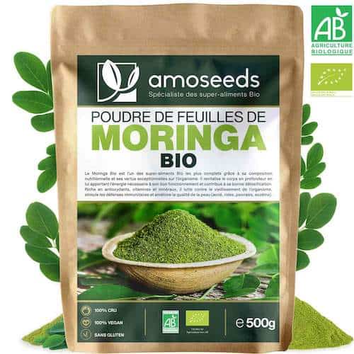 moringa en poudre