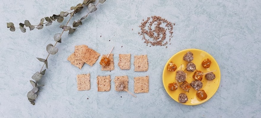 crackers aux graines de chanvre