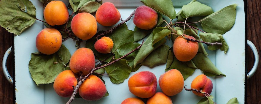 fruit petit-déjeuner