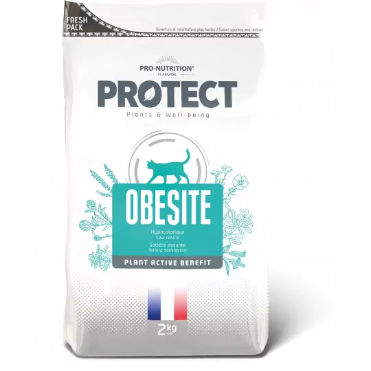 croquettes chat obese
