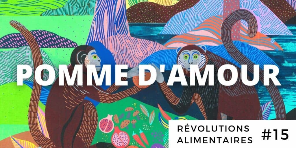 pomme d'amour — Wiktionnaire, le dictionnaire libre