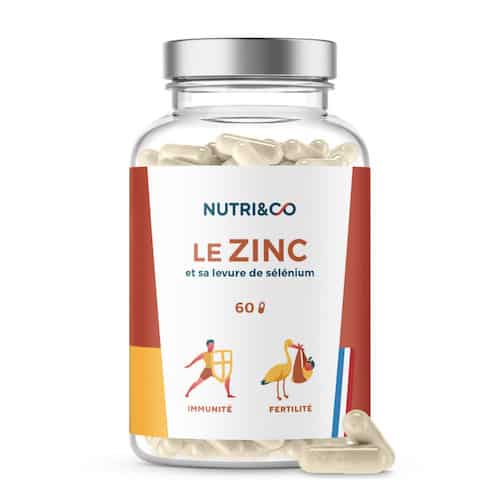 zinc assimilable