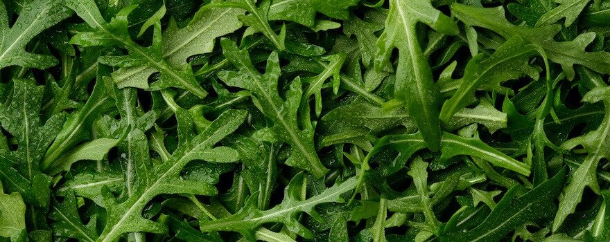 roquette cheveux