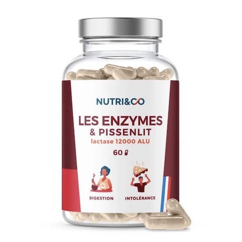 meilleur enzyme digestive