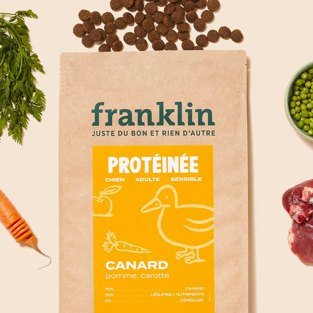 croquettes chien franklin