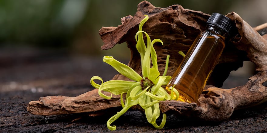 huile essentielle pour les cheveux