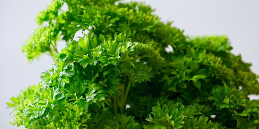 a quoi sert la vitamine c