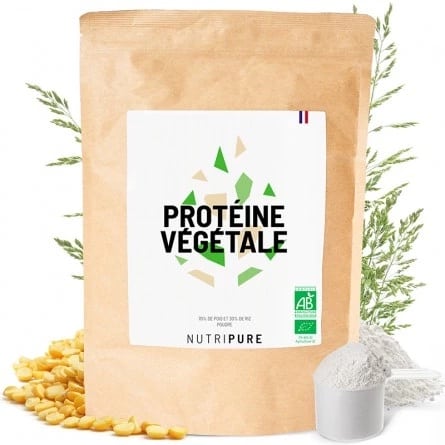 meilleure proteine vegetale en poudre