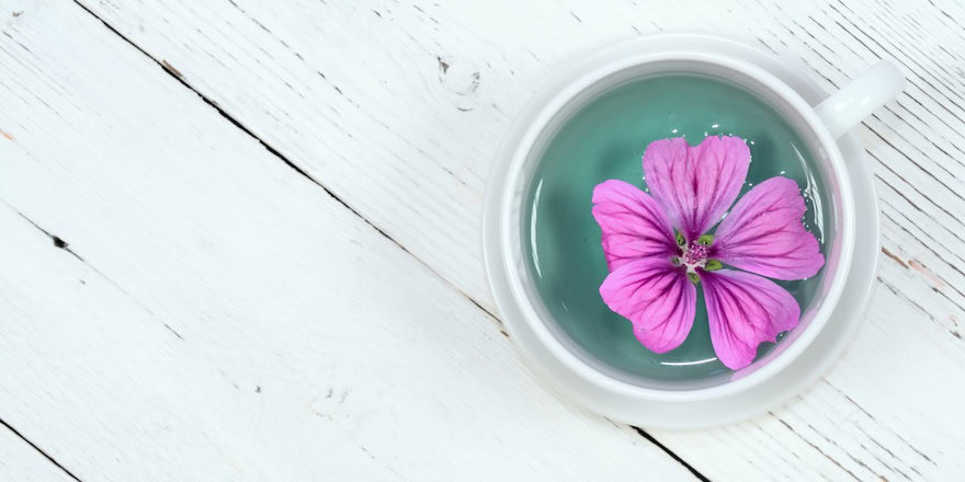 tisane grossesse