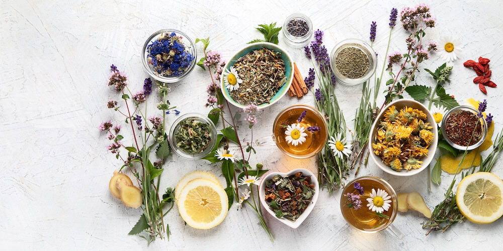 tisane pour maigrir