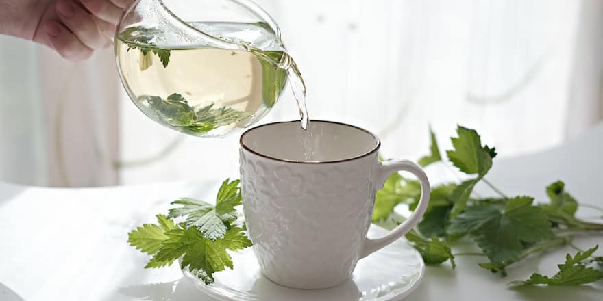 tisane pour maigrir rapidement