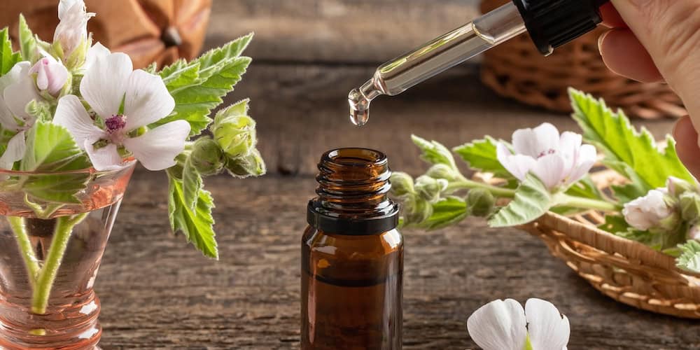 gemmotherapie sommeil