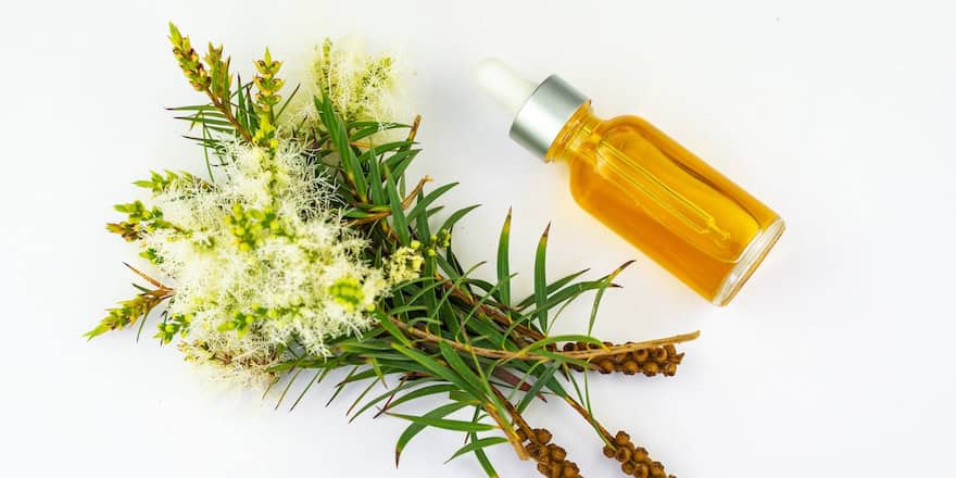 huile essentielle de tea tree