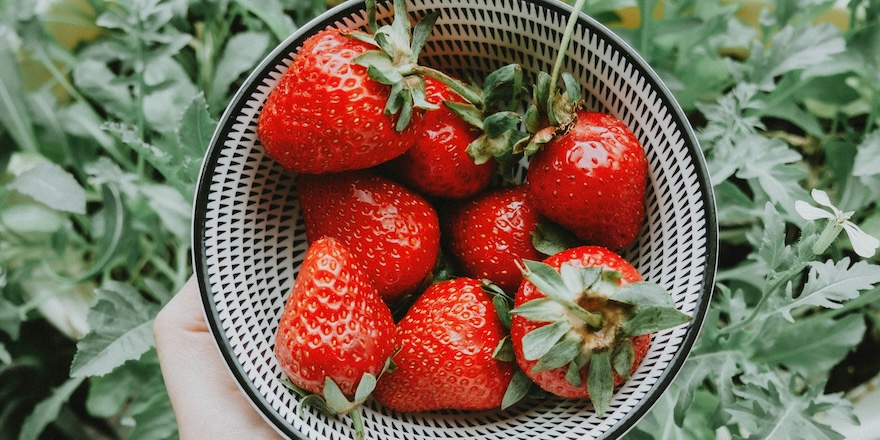 fraise anemie