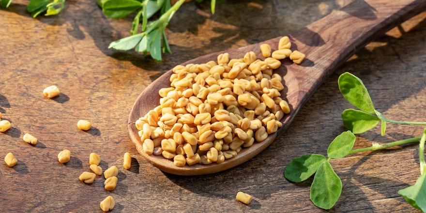 phytotherapie pour maigrir rapidement