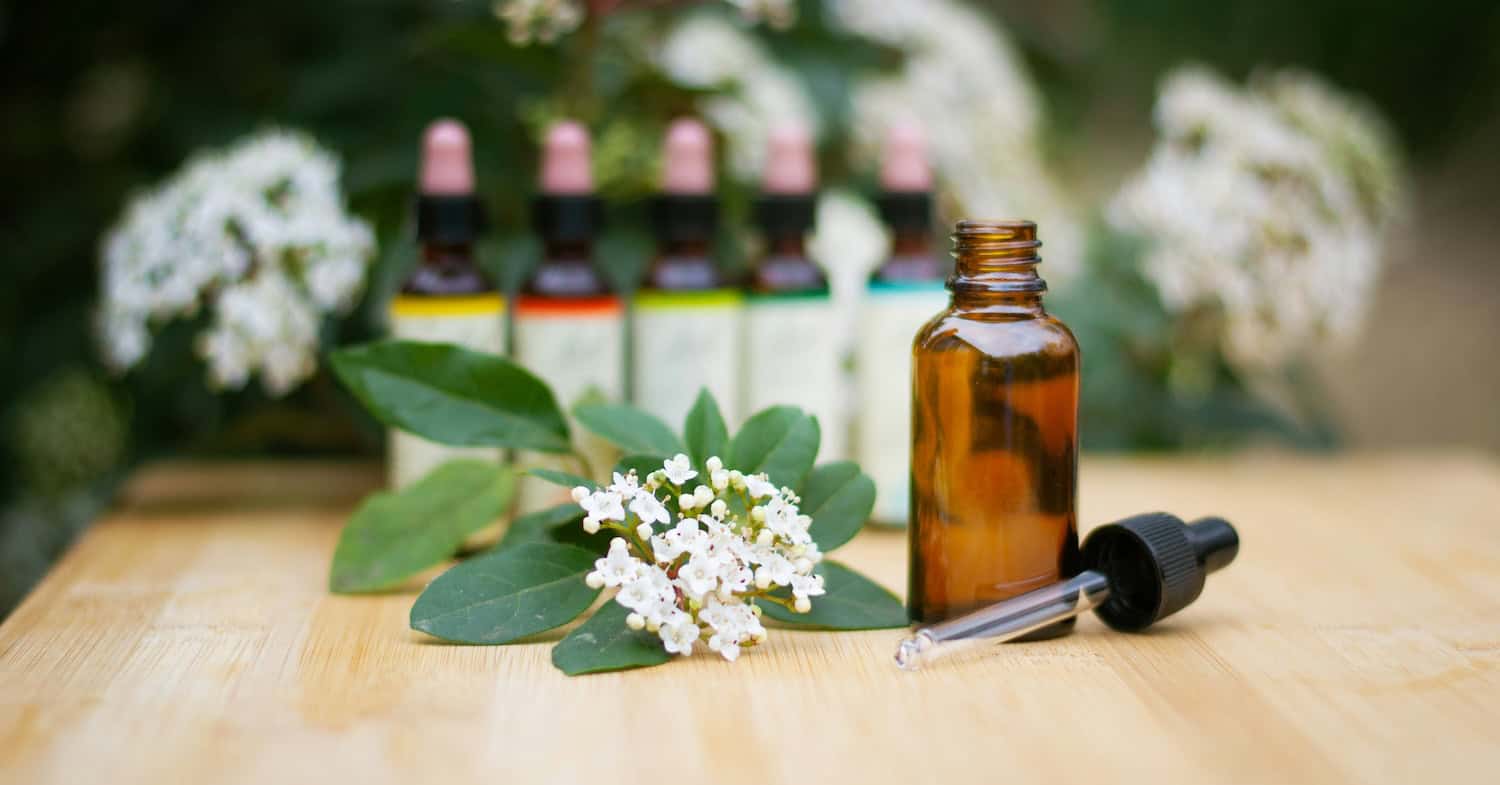 bach flowers weight loss